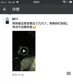 徐州最新爆料视频曝光,一窥城市变迁与民生发展  第2张